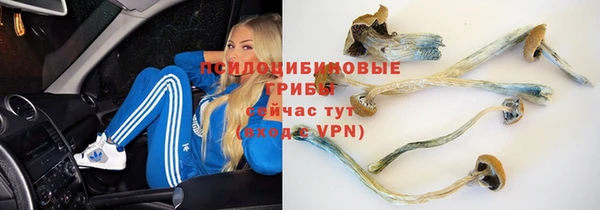 альфа пвп VHQ Белокуриха